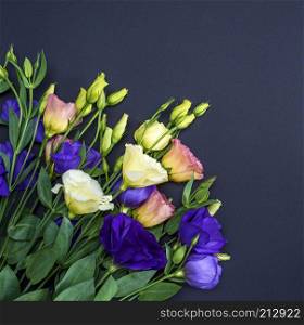 fresh blooming flowers Eustoma Lisianthus on black paper background, top view, copy space