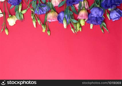 fresh blooming flowers Eustoma Lisianthus on red paper background, top view, copy space