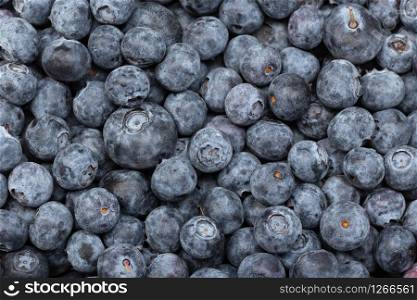 Fresh blueberries background. Cyanococcus