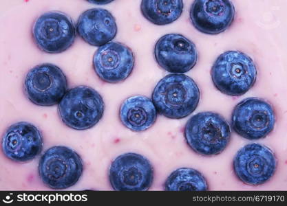 fresh blueberries fruits in the bowl with yoghurt