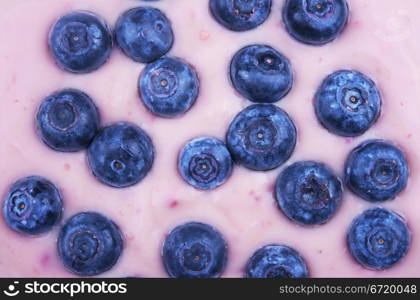 fresh blueberries fruits in the bowl with yoghurt