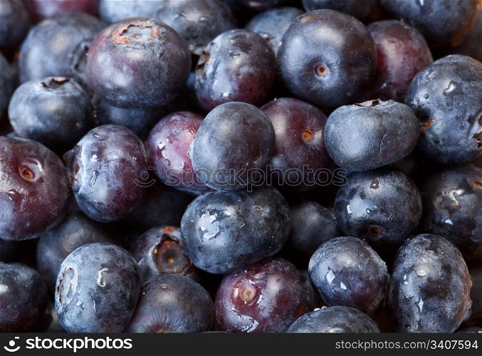 Fresh blueberries inn a box taken in macro close up