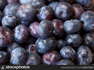Fresh blueberries inn a box taken in macro close up
