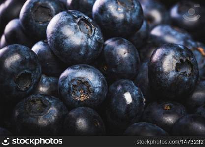 Fresh blueberries isolated on black background. Forest fruits concept. Fresh blueberries isolated on black background.