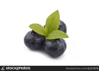 Fresh blueberries with green leaves on the white bacground