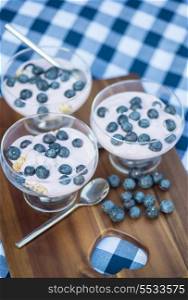 Fresh blueberries with vanilla yoghurt breakfast