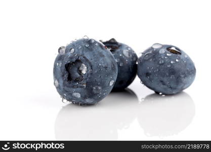 Fresh blueberries with water drops isolated on white background - close up