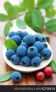 fresh blueberry