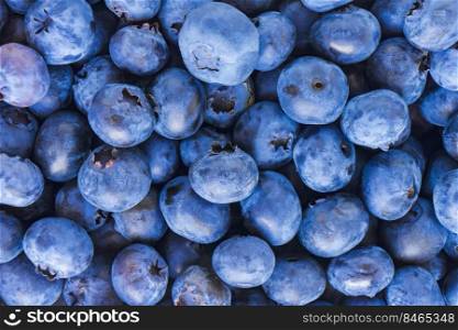 Fresh blueberry background. Texture of blueberry berries close up. Fresh blueberry background. Texture blueberry berries close up