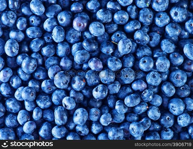 fresh blueberry, blueberry on a table, blueberry background