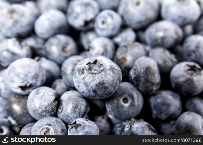 fresh blueberry blueberry on a table blueberry background. Freshly picked blueberries