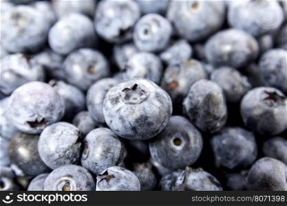 fresh blueberry blueberry on a table blueberry background. Freshly picked blueberries