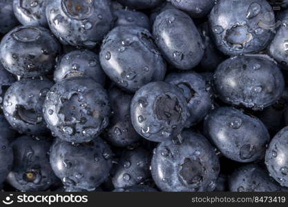 Fresh blueberry summer juicy fruits for a healthy diet. Organic blueberries for a healthy food and life concept.