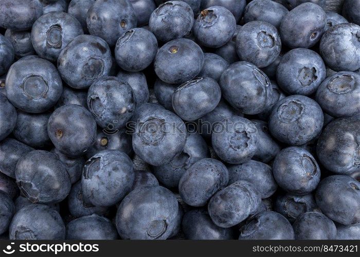 Fresh blueberry summer juicy fruits for a healthy diet. Organic blueberries for a healthy food and life concept.