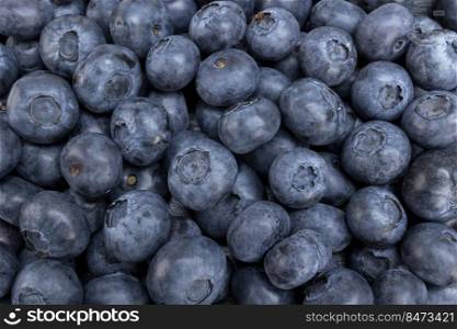 Fresh blueberry summer juicy fruits for a healthy diet. Organic blueberries for a healthy food and life concept.