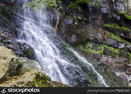Fresh Boyana waterfalls in deep forest and rock, Vitosha, Bulgaria