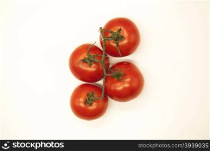 Fresh branch of red Sicilian ripe tomatoes on a white background. Fresh branch of red Sicilian ripe tomatoes on a white background.