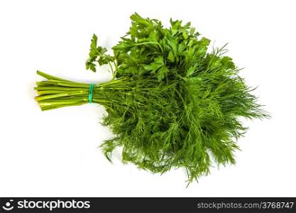Fresh branches of green dill and Parsley tied isolated on white background.