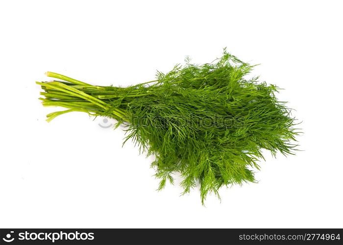 Fresh branches of green dill isolated on white background.