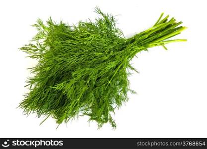 Fresh branches of green dill isolated on white background.