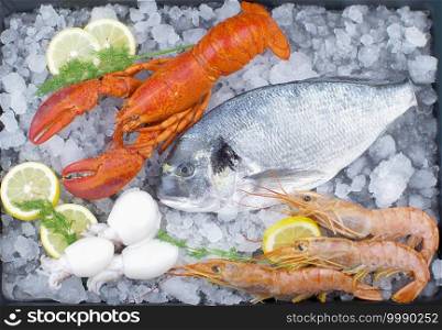 fresh bream, lobster, shrimps and cuttlefish on ice with lemon slice