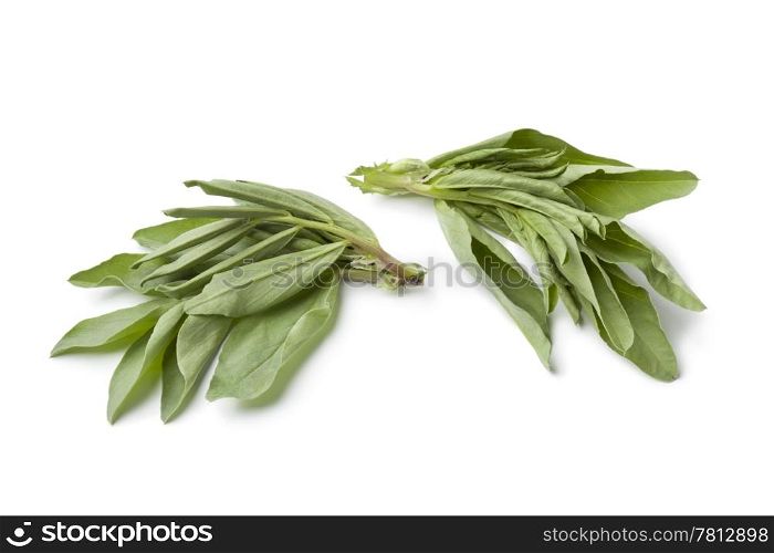 Fresh broad bean leaves on white background