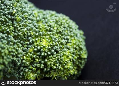 Fresh broccoli. Fresh broccoli on black background.