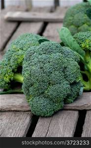 Fresh broccoli over old wooden background, selective focus