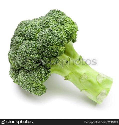 fresh Broccoli salad isolated on white background. Broccoli isolated on white background