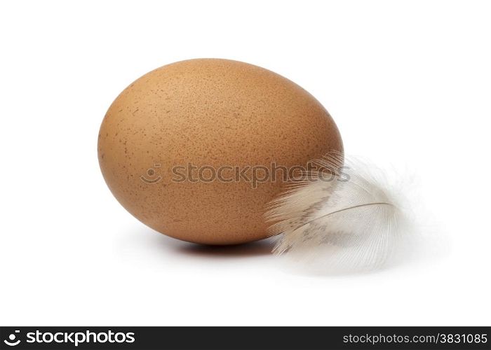 Fresh brown egg with a feather on white background