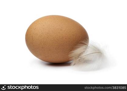 Fresh brown egg with a feather on white background