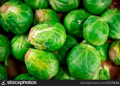 Fresh Brussels cabbage. Macro background. High quality photo. Fresh Brussels cabbage. Macro background.
