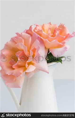 Fresh bunch of pink roses flowers in the jar. Pastel floral wallpaper background from flower petals. Trendy color. Bloom love concept