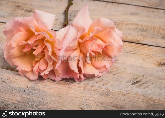 Fresh bunch of pink roses flowers on wooden background. Pastel floral wallpaper background from flower petals. Trendy color. Bloom love concept