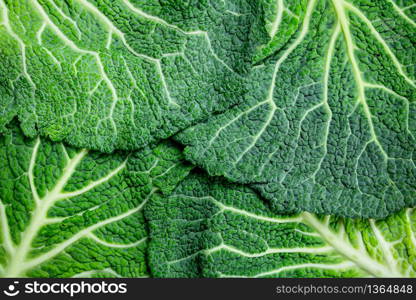 Fresh cabbage leaves. On rustic background. Fresh cabbage leaves.