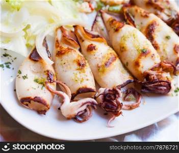 Fresh calamari served in an old Italian restaurant (Tuscany). Daylight.