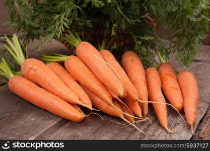 fresh carrot bunch on grungy wooden background