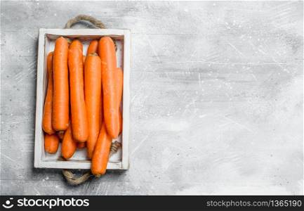 Fresh carrot on the tray. On rustic background. Fresh carrot on the tray.