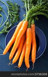 fresh carrot over blue background