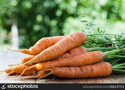 fresh carrots bunch. fresh carrots bunch on wood