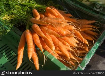 fresh carrots in the market