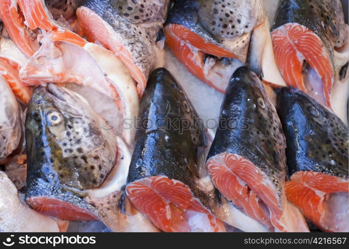 Fresh catch of fish at the seafood market.