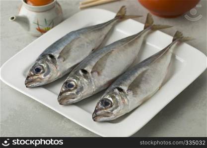 Fresh caught raw horse mackerel on a dish