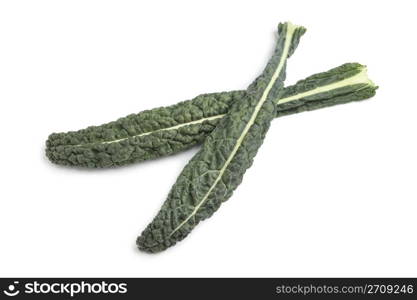 Fresh Cavolo Nero leaves on white background