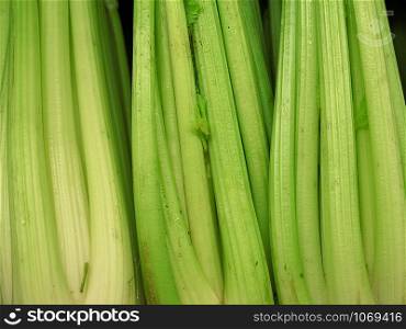 Fresh celery for sale at the Farmers Market