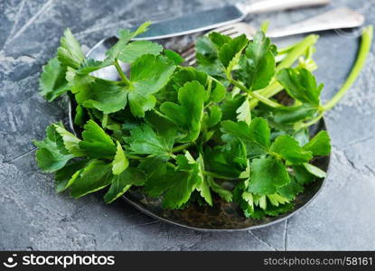 fresh celery on plate and on a table