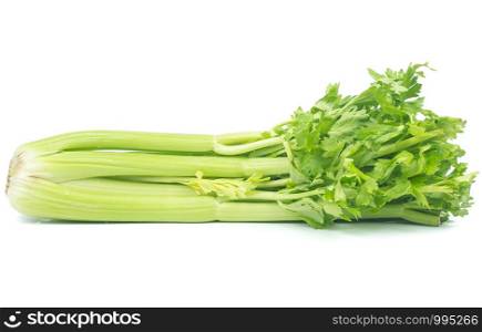 fresh Celery sticks, celery stalk isolated on white background