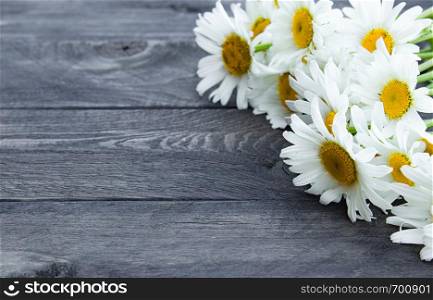 Fresh chamomile flowers on a wooden table. With copy space for text.. Fresh chamomile flowers on a wooden table.