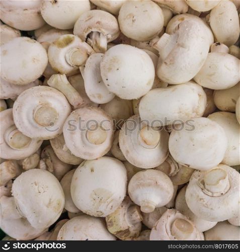 fresh champignons. Champignon mushrooms background