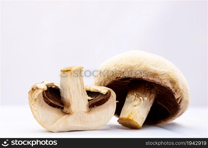 Fresh champignons, champignon mushrooms, close-up, isolated